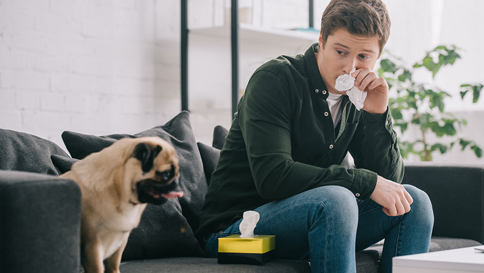 Installing an air purifier is one of the top approaches to enhance your house’s indoor air quality. Find out more about the three best products. 